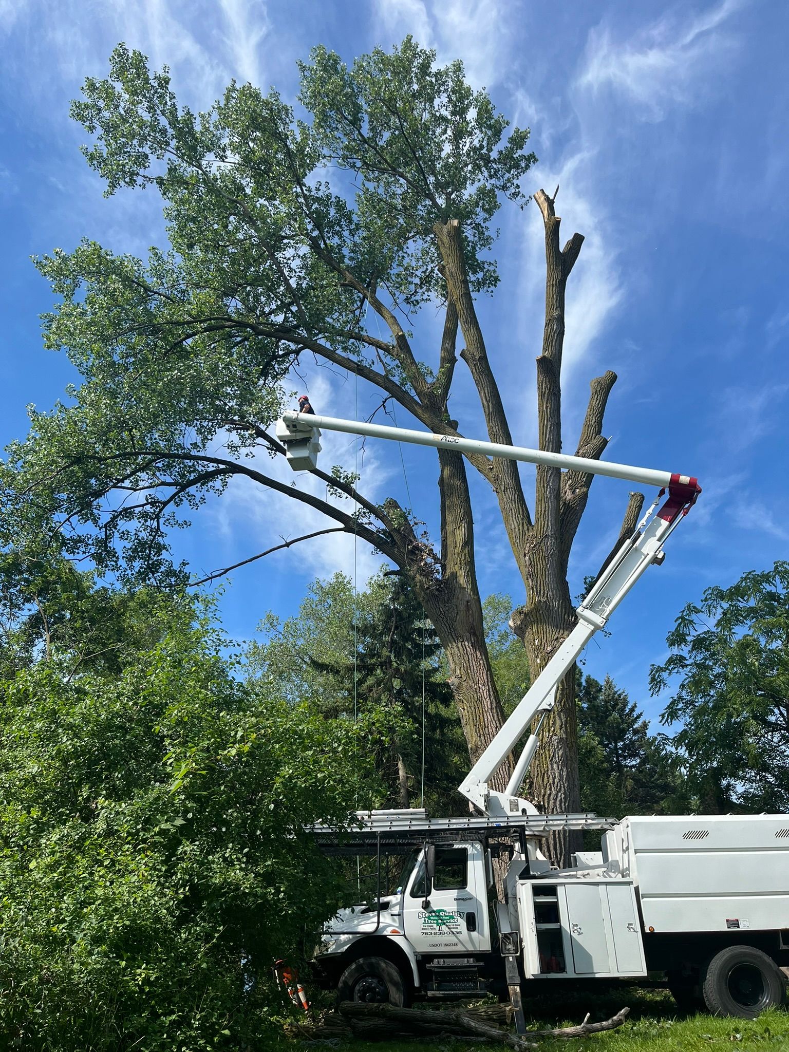 A white truck with a crane attached to it is cutting a tree.