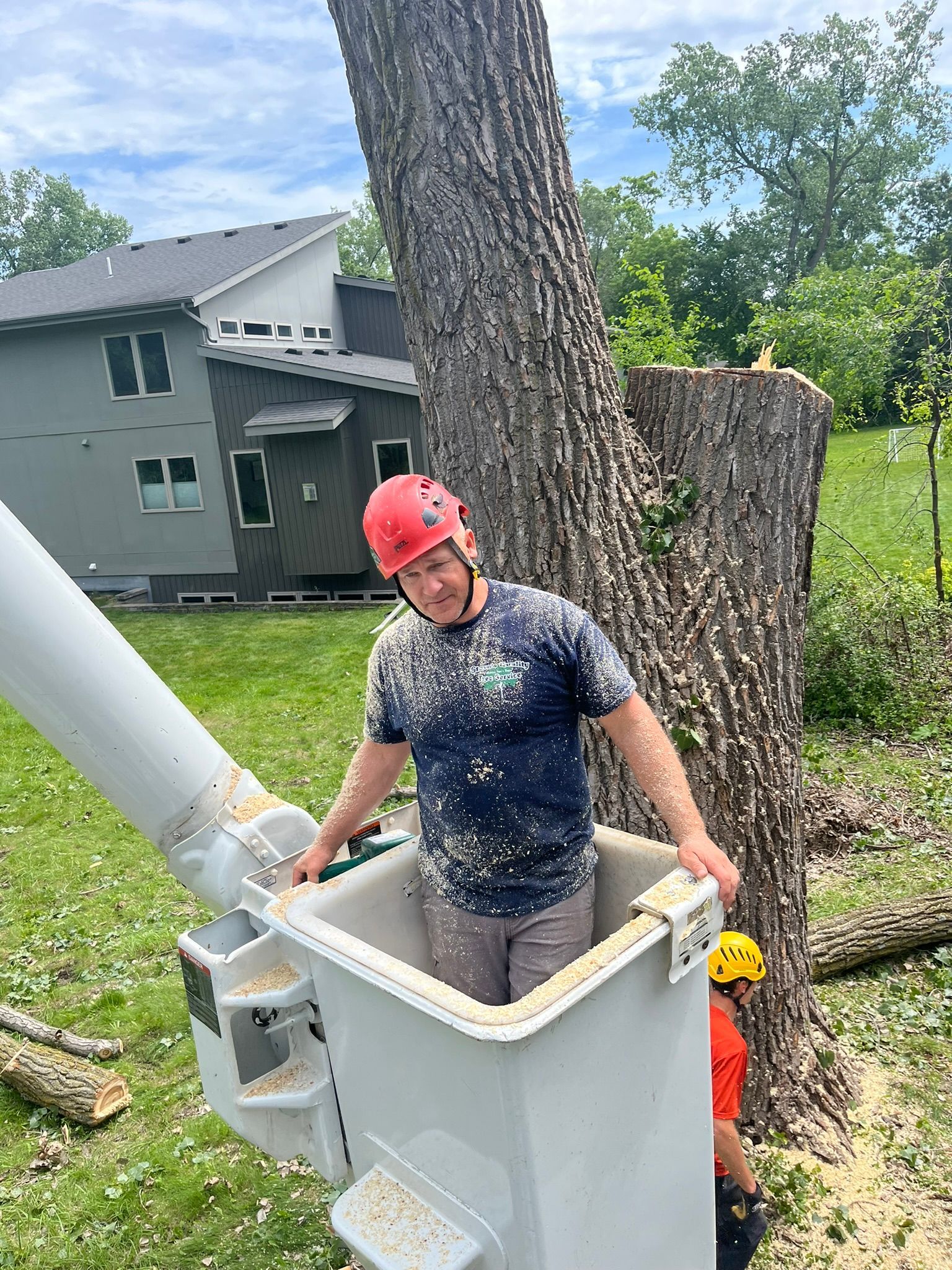 A man is standing in a bucket next to a tree.
