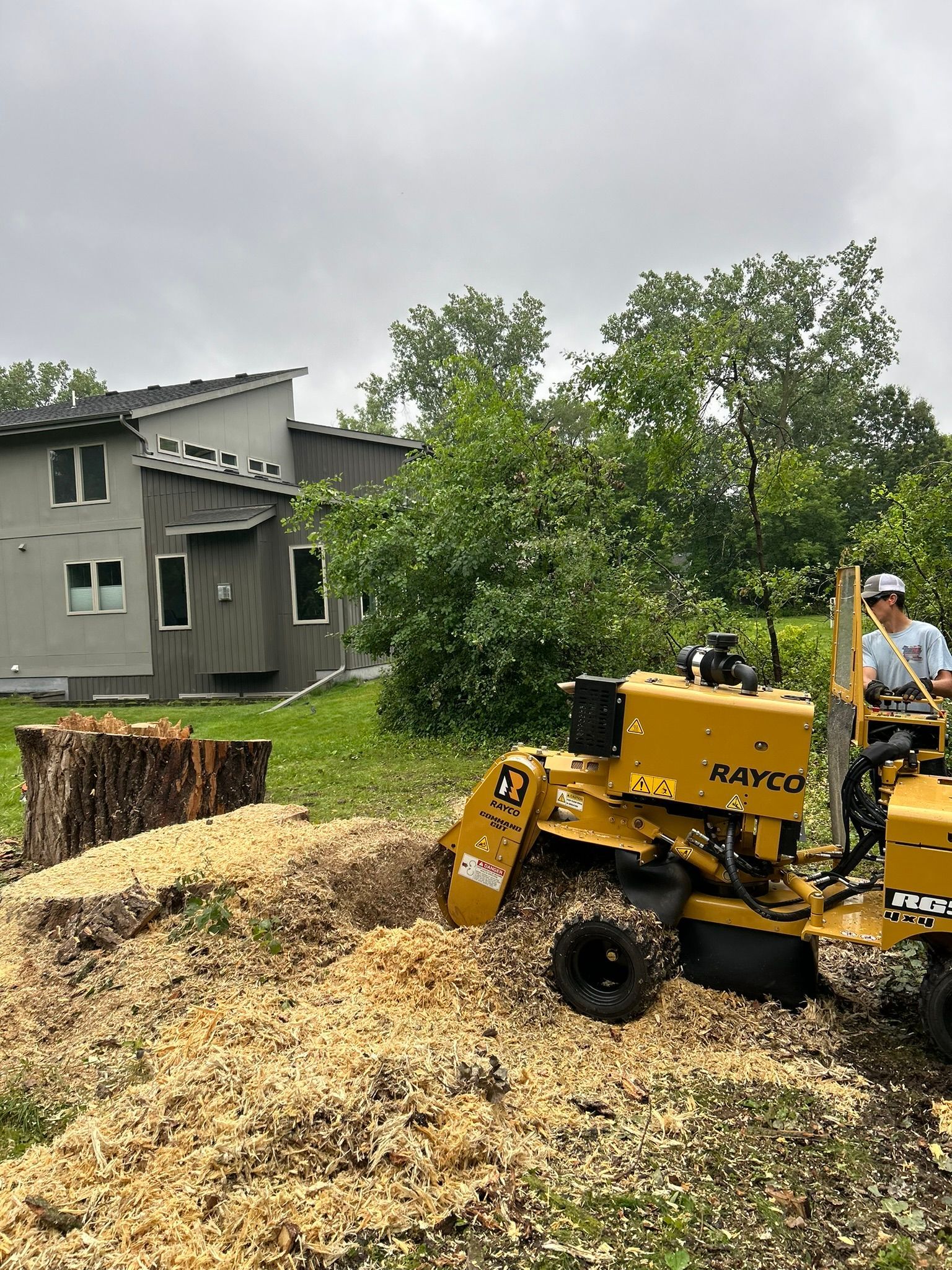 A man is using a stump grinder to remove a tree stump.