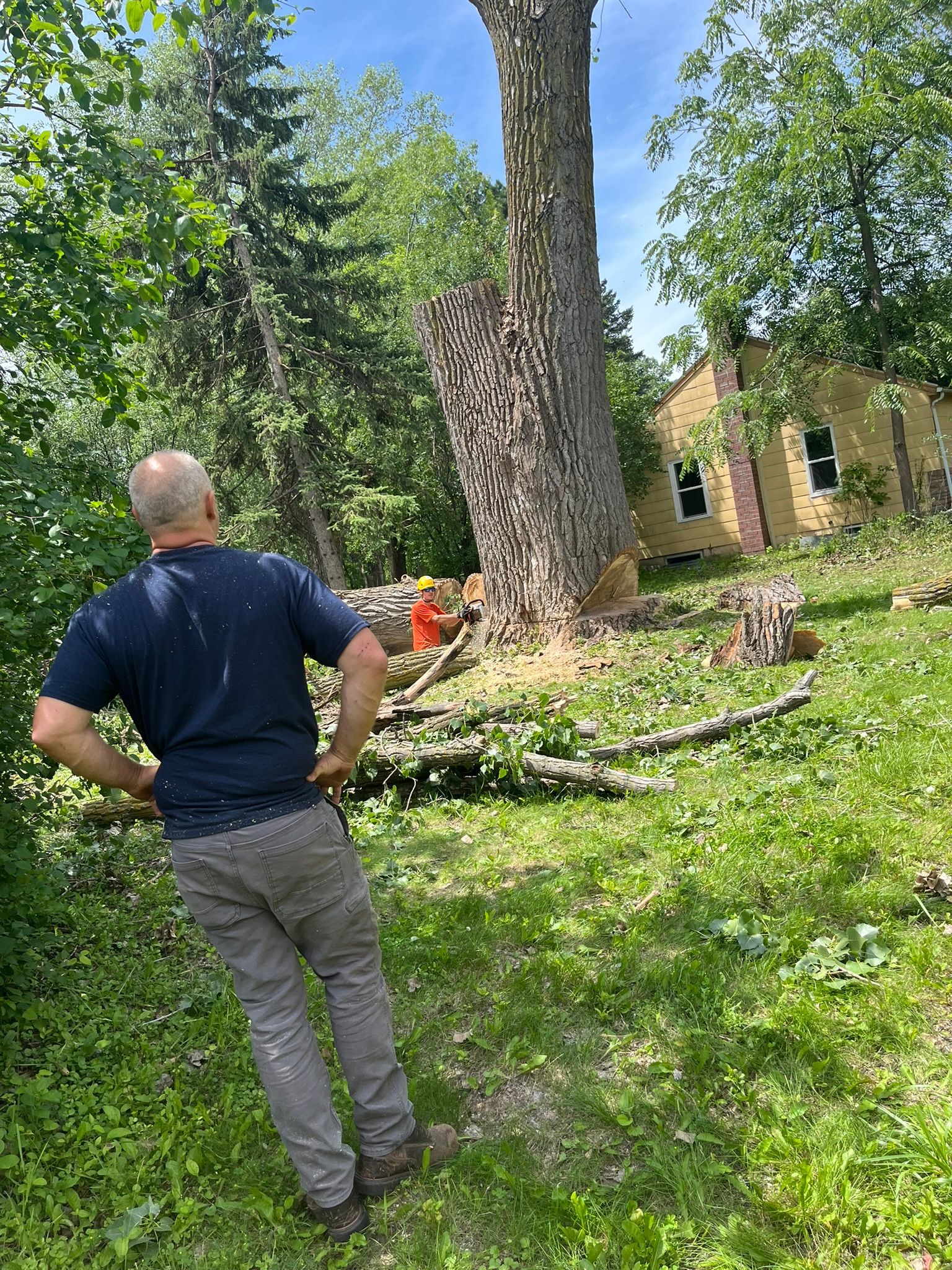 A man is standing in the grass next to a large tree.
