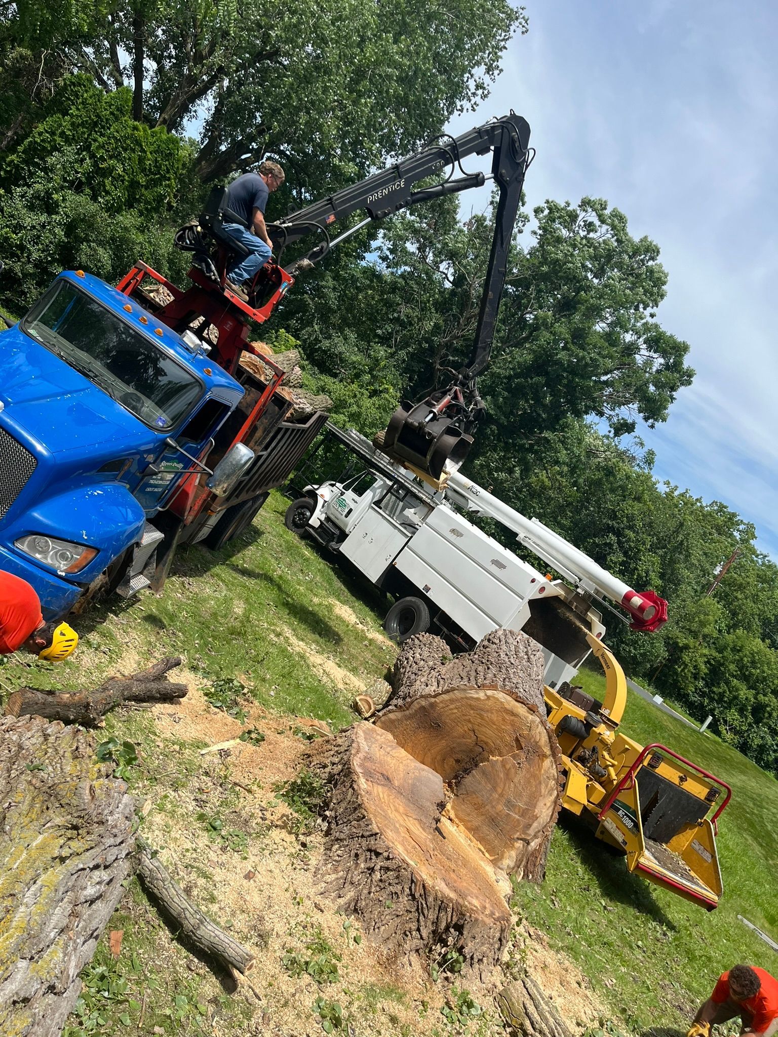A man is sitting on a crane next to a tree stump.