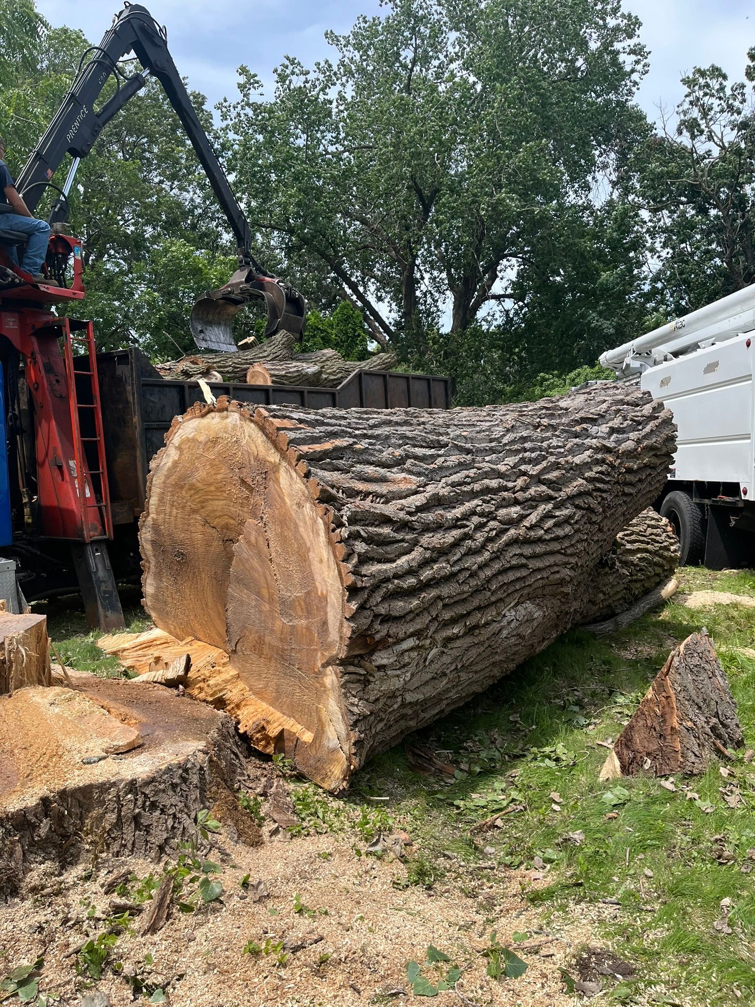 A large log is sitting in the grass next to a truck.