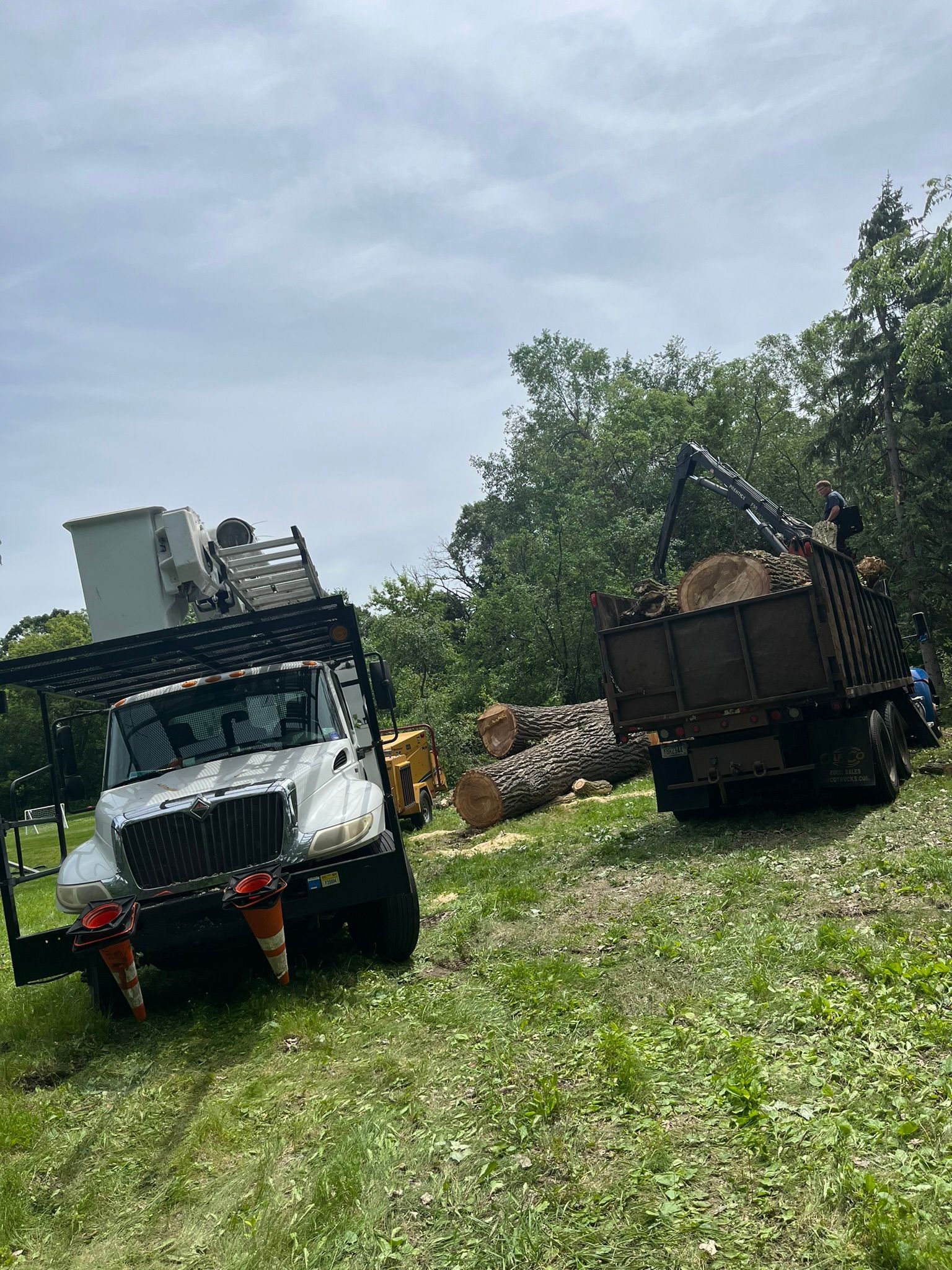 A couple of trucks are parked in a grassy field.