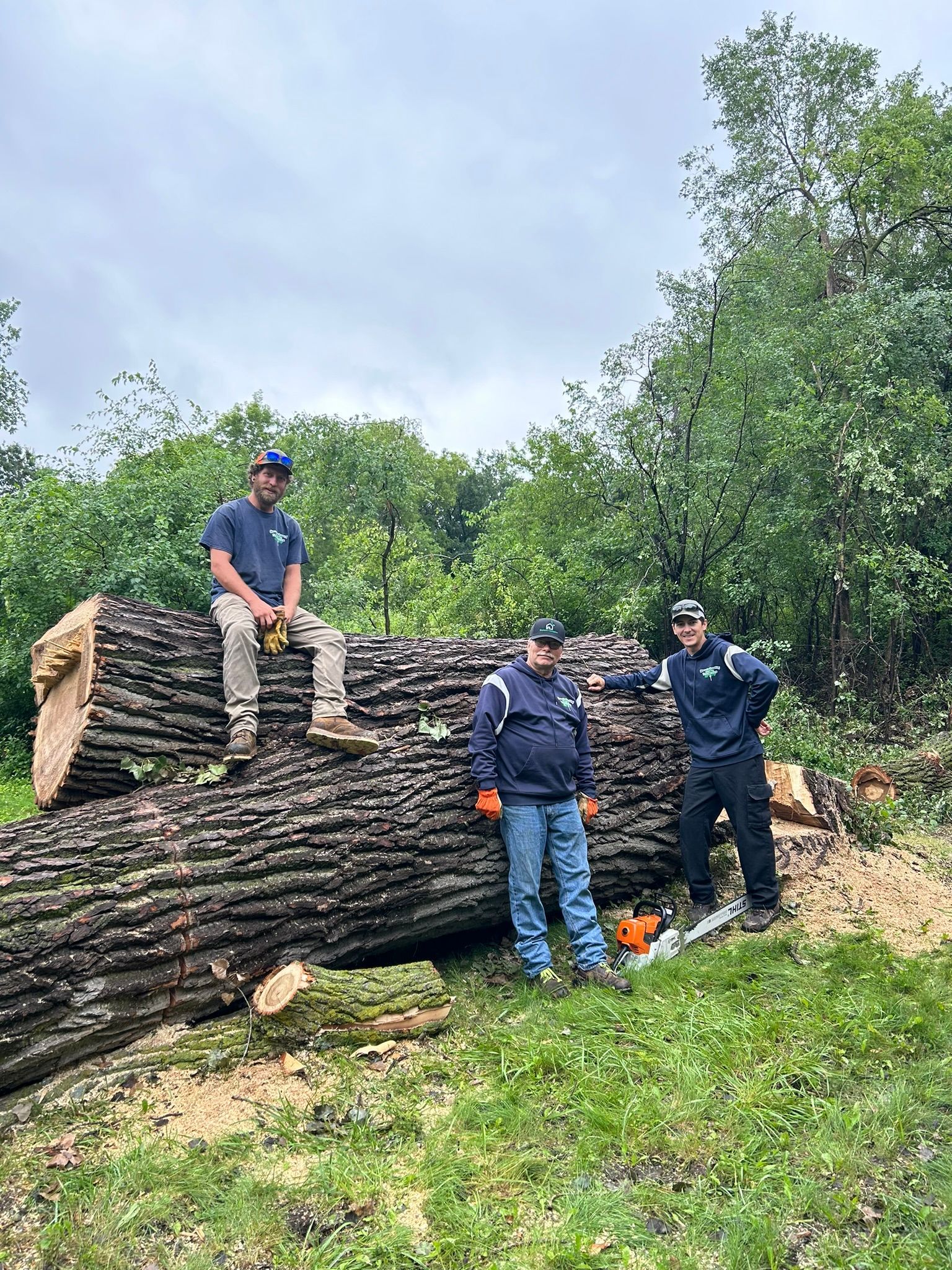 Two men are standing next to a large log in the woods.