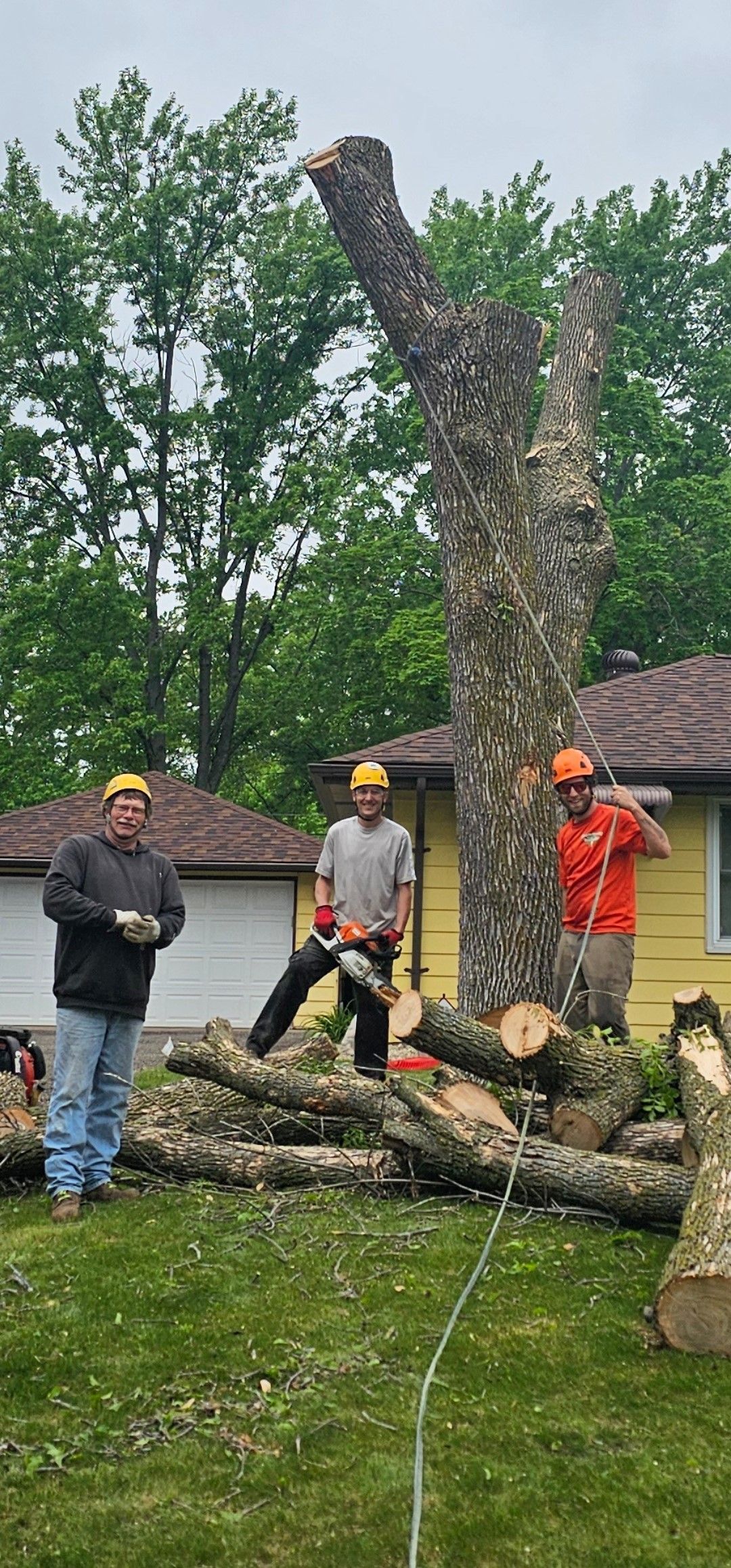 A group of men are standing around a large tree that has been cut down.