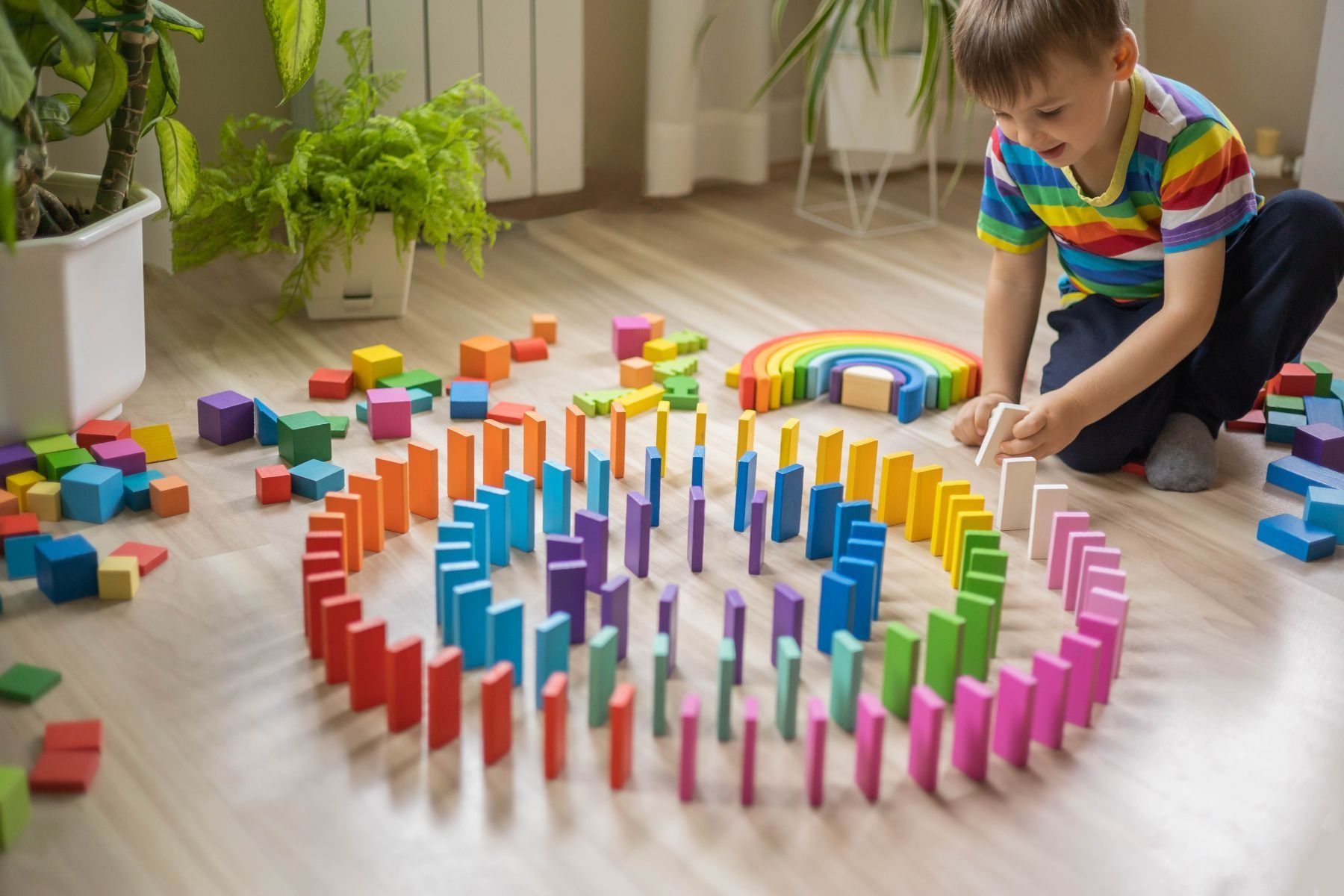 Boy arranging colorful dominoes in a circular pattern on a wood floor, with a rainbow and other blocks nearby.