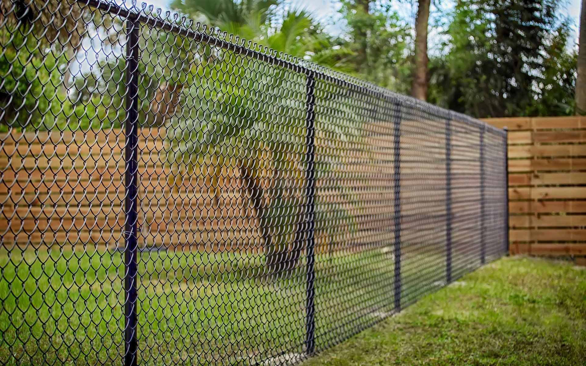 Chain link fences