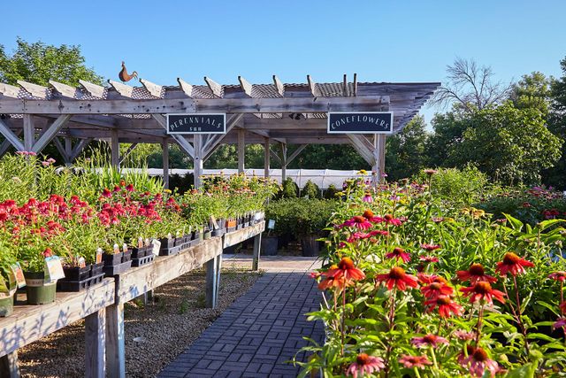 Garden Center | St. Paul, MN | Lilydale Garden Center