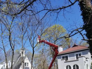 A man is cutting a tree with a crane in front of a house.