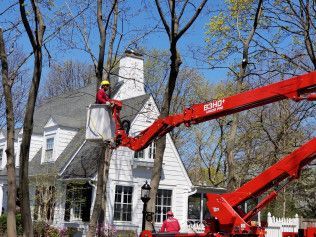 A man is cutting a tree with a crane in front of a house.