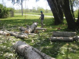 A man is standing next to a pile of logs in a park.