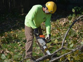 A man is cutting a tree branch with a chainsaw.