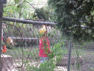 A person is standing behind a chain link fence.