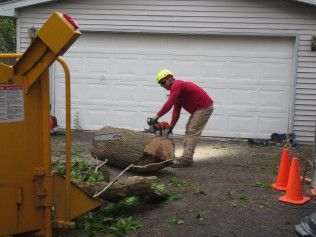 A man is cutting a tree with a chainsaw in front of a garage.