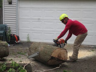 A man is cutting a large log with a chainsaw.