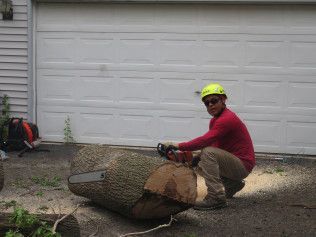 A man is cutting a tree with a chainsaw in front of a garage door.