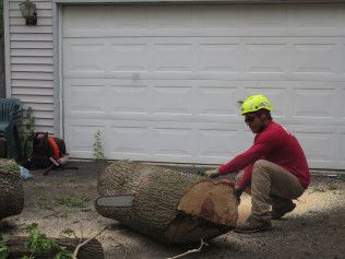 A man is cutting a large tree stump with a chainsaw.