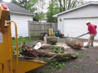 A man is cutting a tree with a chainsaw in front of a garage.