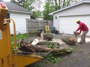 A man is cutting a tree with a chainsaw in front of a house.