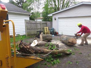 A man is cutting a tree with a chainsaw in front of a garage.