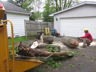 A man is cutting a tree in front of a garage with a chainsaw.