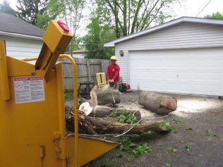 A man is cutting a tree with a chainsaw in front of a garage.