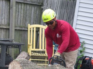 A man is cutting a tree with a chainsaw.