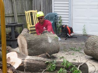 A man is cutting a tree trunk with a chainsaw.