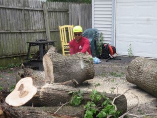 A man is sitting on a log in a backyard.