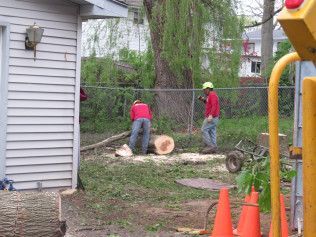 Two men are cutting down a tree in front of a house.