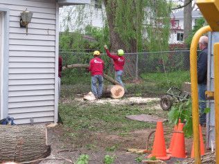 Two men are cutting down a tree in front of a house.