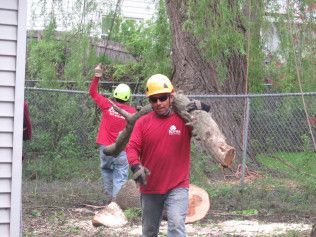 A man is carrying a large log on his shoulder.
