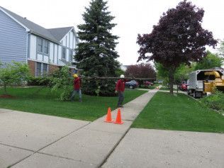Two men are cutting a tree on the sidewalk in front of a house.