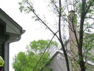 A man is cutting a tree in front of a house.
