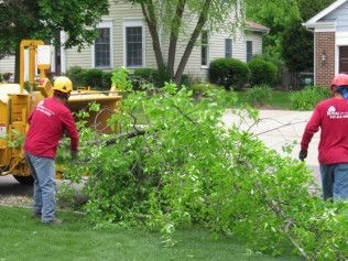Two men are cutting down a tree in front of a house.