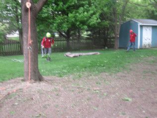 Two children are playing in a yard with a shed in the background.