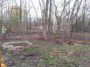 A group of people are standing in the middle of a forest.
