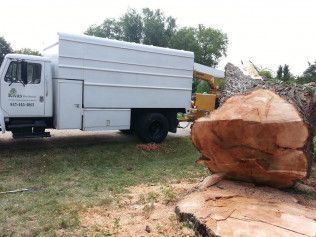 A white truck is parked next to a large tree stump.