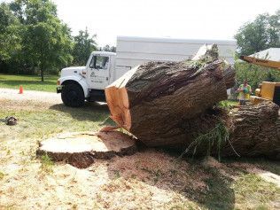 A large tree stump is sitting next to a white truck.