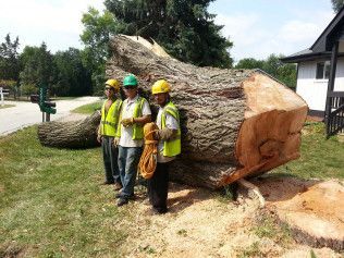 A group of men are standing next to a large tree stump.