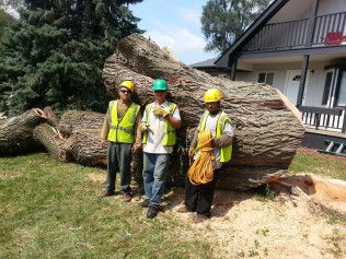 Three men are standing next to a large log in front of a house.