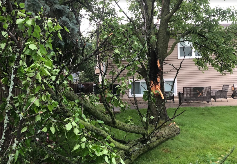 A tree that has been knocked over by a storm in front of a house.