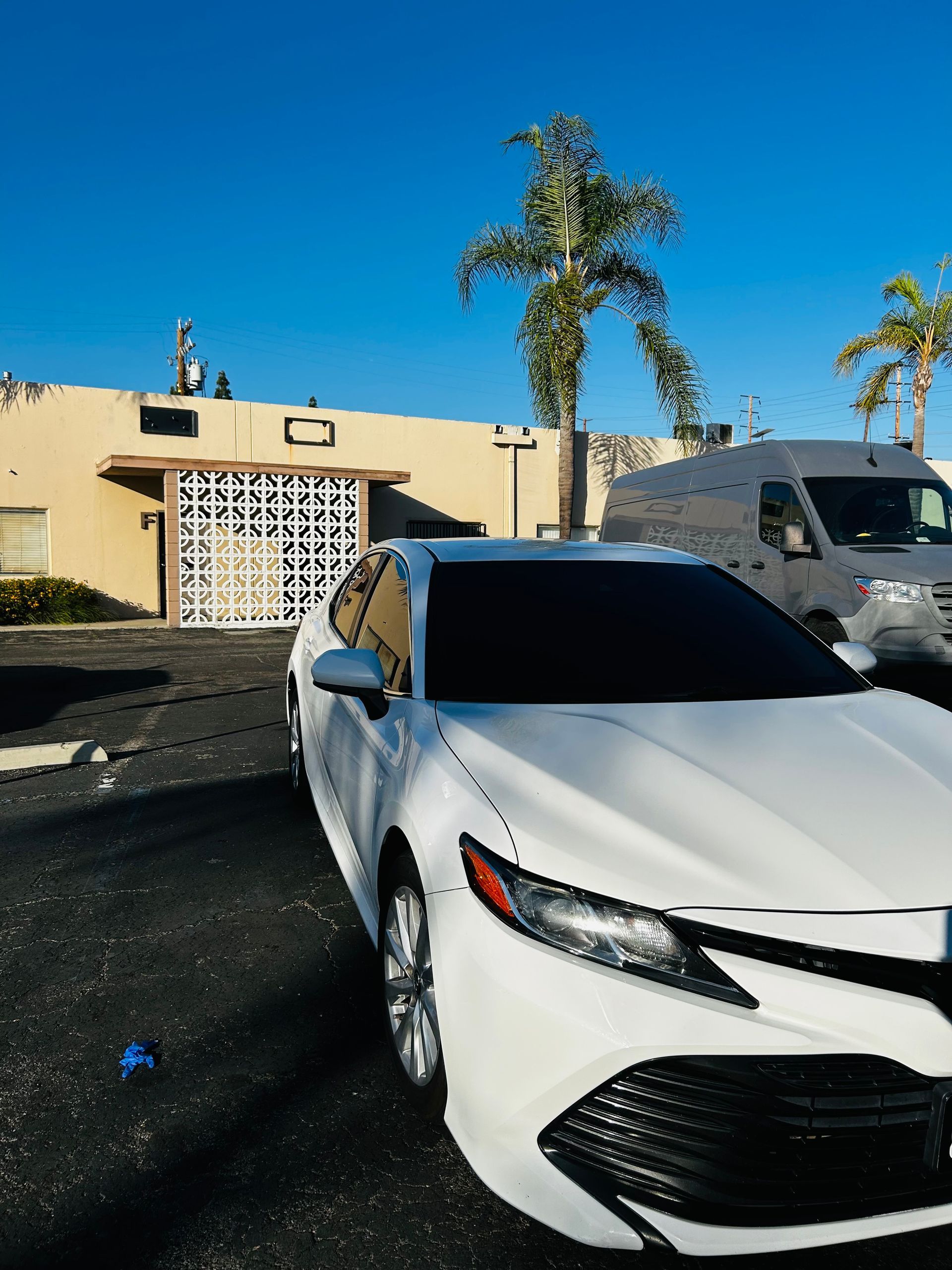 White car parked in front of a building with palm trees under a blue sky.