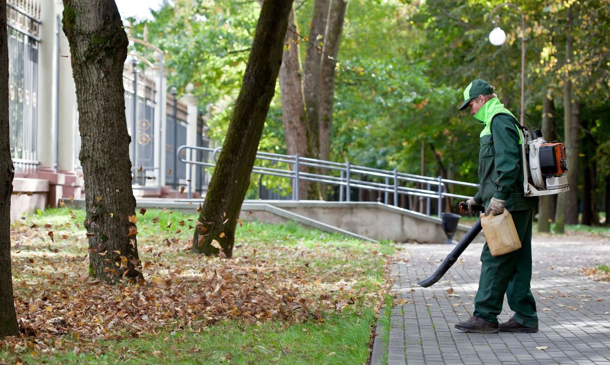 A worker in a green uniform uses a backpack leaf blower to clear autumn leaves from a paved park path.