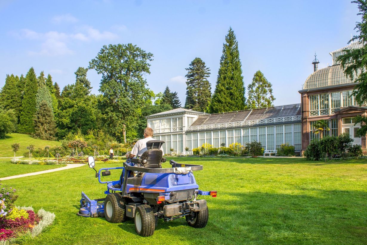 A person mows a green lawn on a blue riding mower in front of a large, glass-walled greenhouse on a sunny day.