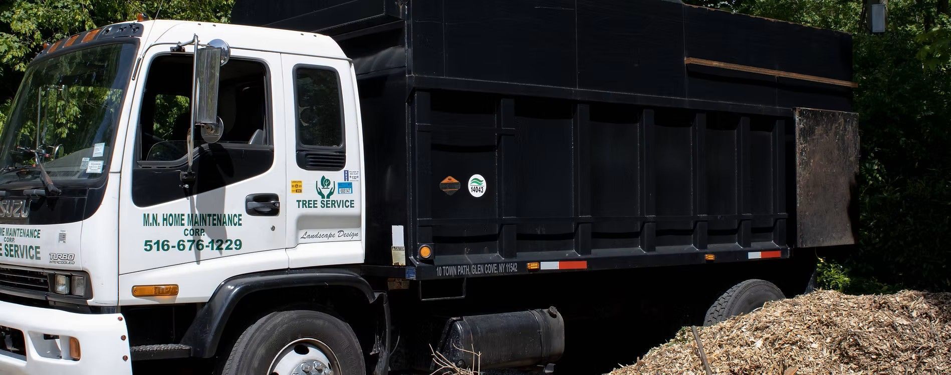 Tree removal services