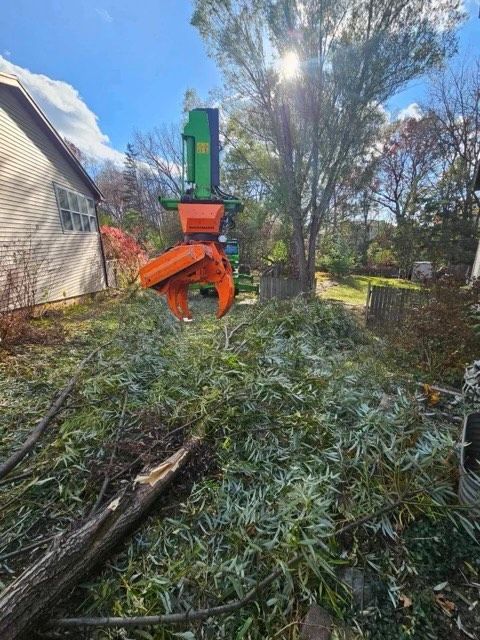 A tree-cutting machine with orange jaws, cutting a tree in a residential yard on a sunny day. Debris covers the ground.