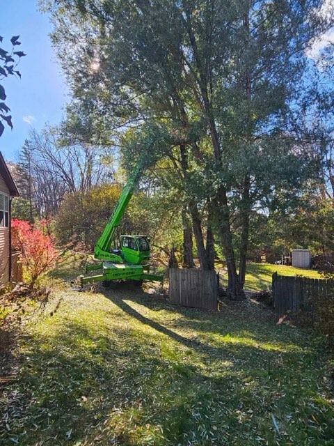A green tree trimming machine reaching up to a large tree in a yard on a sunny day. A house and a fence are nearby.