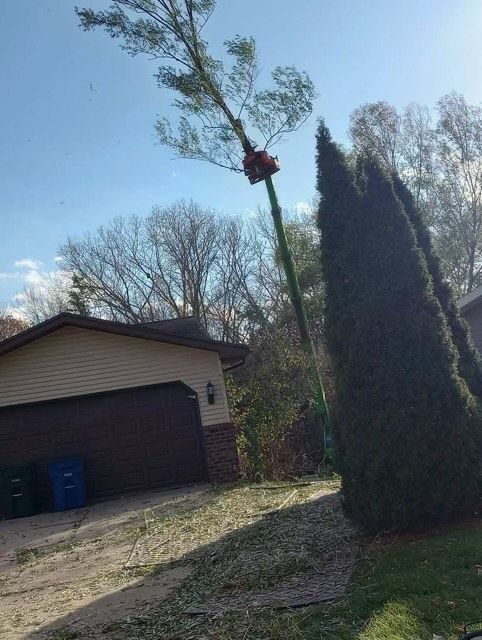 A tree is being trimmed by a green lift next to a house with a brown garage door on a sunny day.
