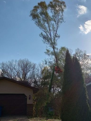 A tree being trimmed by a red lift in front of a house on a sunny day.